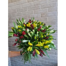 Альстромерия